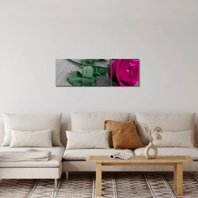 Obraz - Ružová ruža so zelenou stonkou (s hodinami) (90x30 cm)