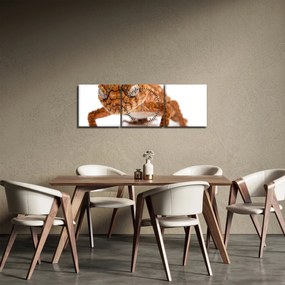 Obraz jašterice (s hodinami) (90x30 cm)