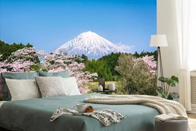 Samolepiaca fototapeta Fuji v objatí japonskej prírody