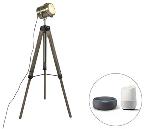 Inteligentná stojaca lampa trojnožka drevená so štúdiovým bodovým svetlom vrátane Wifi B35 - Braha