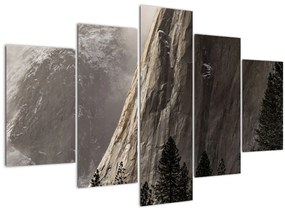 Obraz z údolia Yosemite národnej parku, USA (150x105 cm)