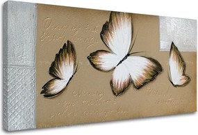 Obraz na plátne MOTÝLE