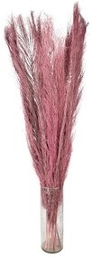 Dekorácia ružová sušená kvetina - 100 cm (15ks)