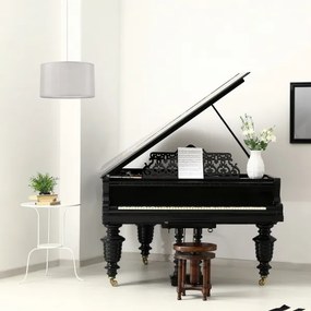 Luster na lanku MONTE 1xE27/60W/230V strieborná