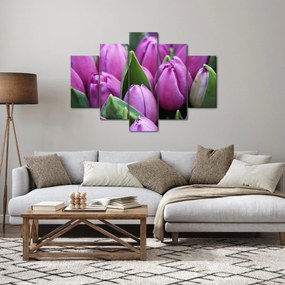 Obraz - kvety tulipánov (150x105 cm)