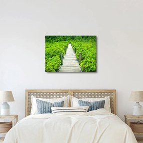 Obraz - drevený chodník (70x50 cm)