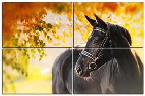 Obraz na plátne - Čierny kôň 1220E (90x60 cm)