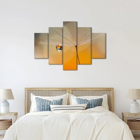 Obraz - Makro kvetu (150x105 cm)
