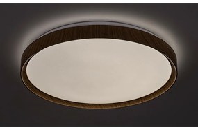 Rabalux 3500 stropné LED svietidlo