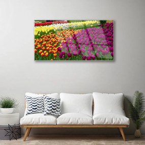 Obraz na skle Tulipány kvety 120x60 cm