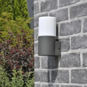 Vonkajšie nástenné svietidlo DALLAS 1xE27/12W/230V IP44 antracit