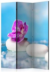 Artgeist Paraván - Pink Orchid and white Zen Stones [Room Dividers]