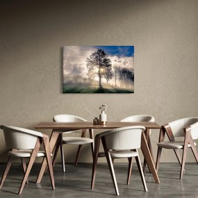 Obraz stromu v hmle (90x60 cm)