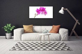 Obraz Canvas Vstavač kvet orchidea 125x50 cm