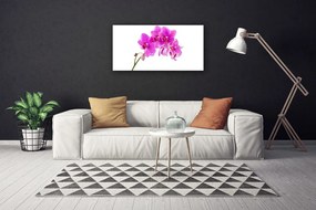 Obraz Canvas Vstavač kvet orchidea 100x50 cm