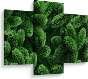 Obraz - Vetvičky ihličnanu (90x60 cm)
