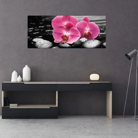 Obraz - Ružové orchidey (120x50 cm)