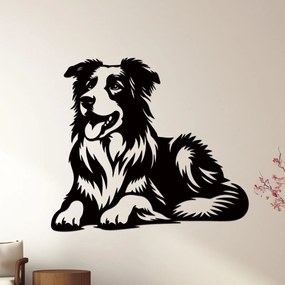 dřevo života Drevený obraz psa BORDER COLLIE Rozmery - cm: 40x34, Zvoľte farbu dekoru: Čierna