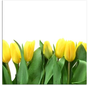 Obraz na plátne - Žlté tulipány - štvorec 303A (50x50 cm)