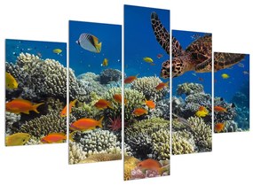 Obraz podmorského sveta (150x105 cm)