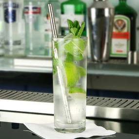 Bar@drinkstuff 47 Ronin nerezové slamky 21,5cm / 8.5inch Množstvo: 1 ks