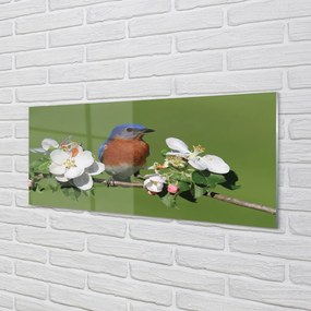 Obraz na akrylátovom skle Kvety farebné papagáj 120x60 cm
