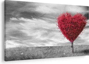 Obraz - Srdce korunou stromu (90x60 cm)