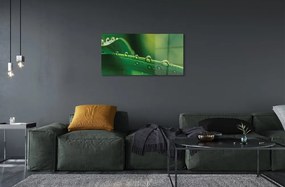 Obraz na skle Kvapky tráva makro 100x50 cm