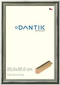 DANTIK rám na obraz 20x30 | Y-ka černá linka (Sklo Čiré)
