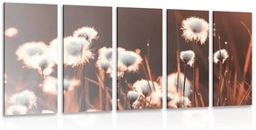 5-dielny obraz bavlnená tráva - 100x50