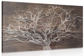 Obraz koruna stromu na drevenom podklade Varianta: 90x60