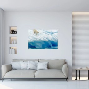 Obraz - Polárny medveď (90x60 cm)
