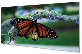 Sklenený obraz Motýľ na kvetine 125x50 cm