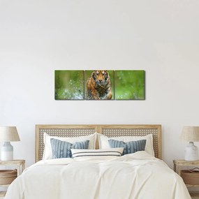 Obraz - Bežiaci tiger (s hodinami) (90x30 cm)