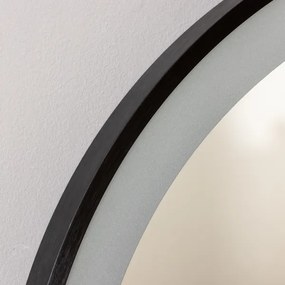 Brilagi-LED kúpeľňové zrkadlo CANZO LED/25W/230V 50x80 cm čierna IP44 CRI 90 stm.+CCT