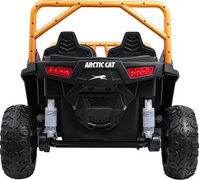 Ramiz Buggy Arctic Cat WILDCAT XX Zelená