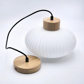 Luster na lanku HARMONY 1xE27/15W/230V pr. 25 cm biela/dub
