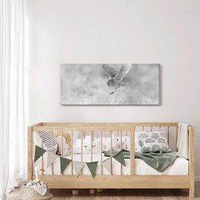 Obraz - Sova v poli (120x50 cm)