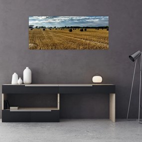 Obraz zozbieraného obilného poľa (120x50 cm)