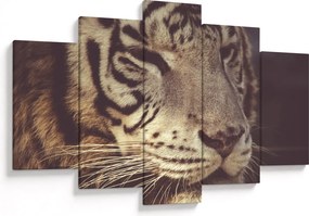 Obraz tigra (150x105 cm)