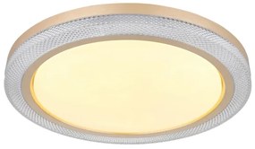 Globo 41372-24 - LED RGBW Stmievateľné stropné svietidlo BOLLY LED/20W/230V + DO