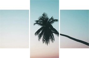 Obraz - Palma na Bali (90x60 cm)