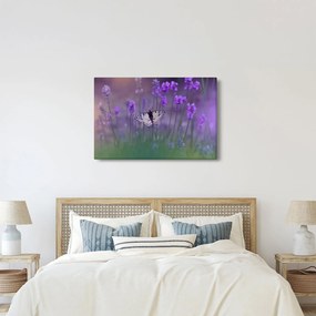 Obraz - Motýľ v levanduli (90x60 cm)