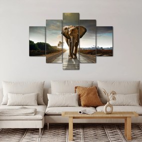 Obraz slona (150x105 cm)