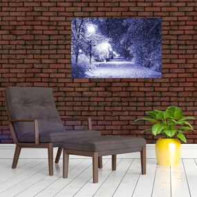 Obraz - Čarovná zimná noc (90x60 cm)