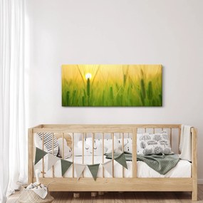 Obraz - Pole s obilím (120x50 cm)