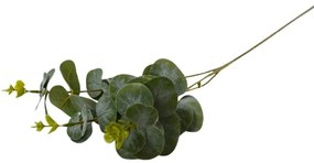 Eukaliptus 64cm A2040061