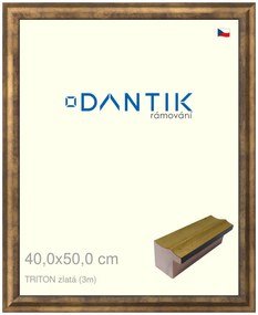 DANTIK rám na obraz 40x50 | TRITON zlatá (Sklo Čiré)