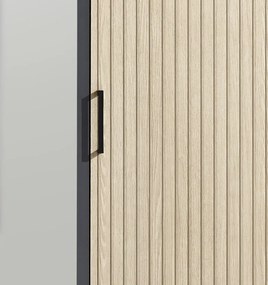 Šatníková skriňa Laurie, 159 cm, grafit/dub