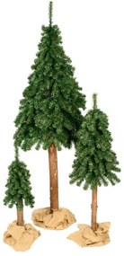 Vianočný stromček- Smrek prírodný na dreve 150 cm